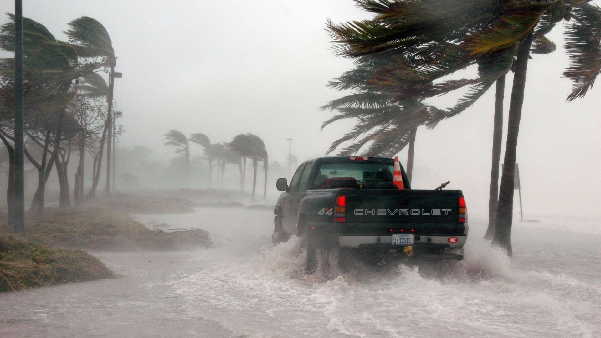 Disaster Relief Options for Hurricane Milton Victims