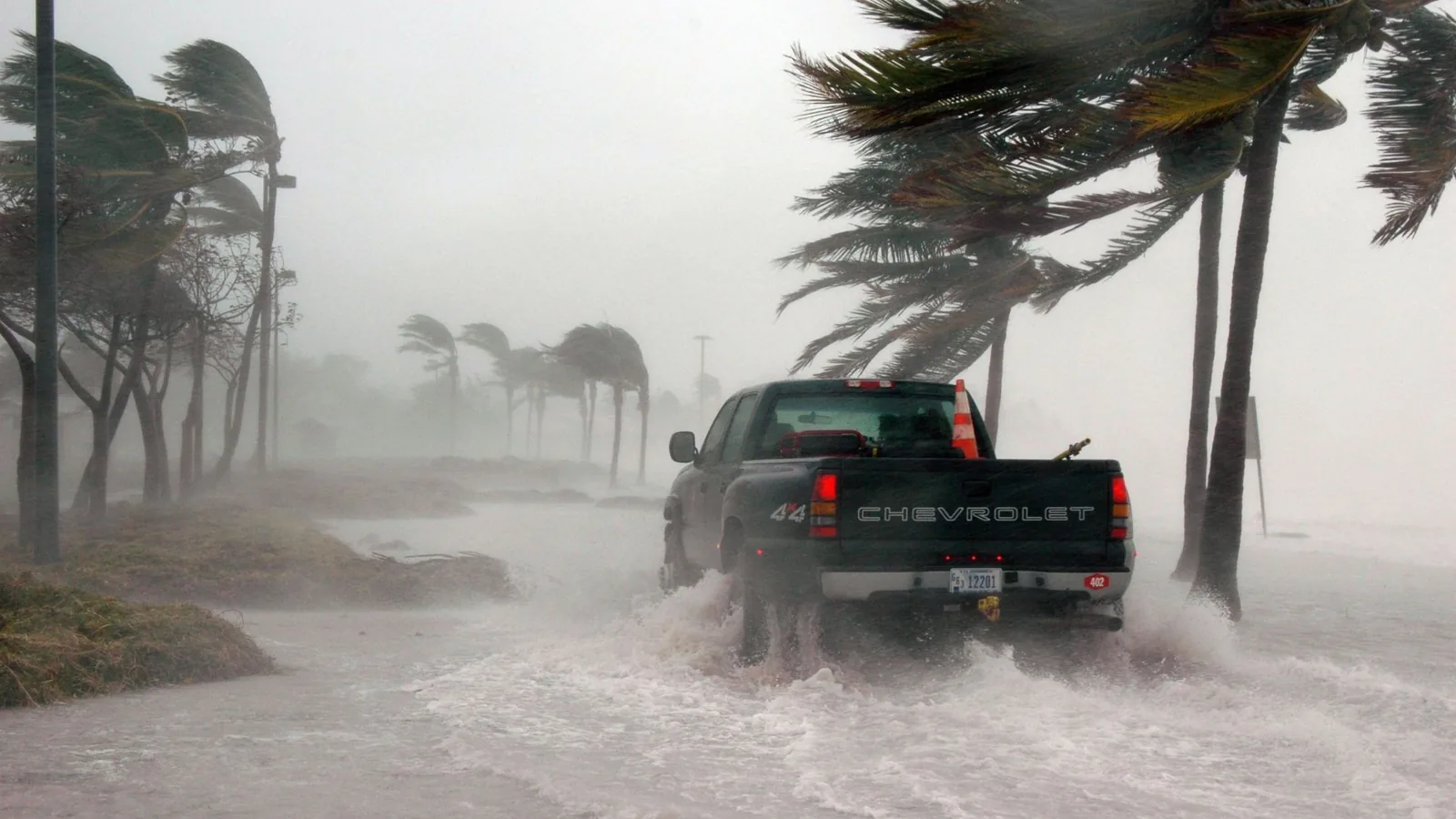 Disaster Relief Options for Hurricane Milton Victims