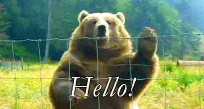 A Bear of a Reminder: Mortgage Loan Originators Must Be on the Lookout